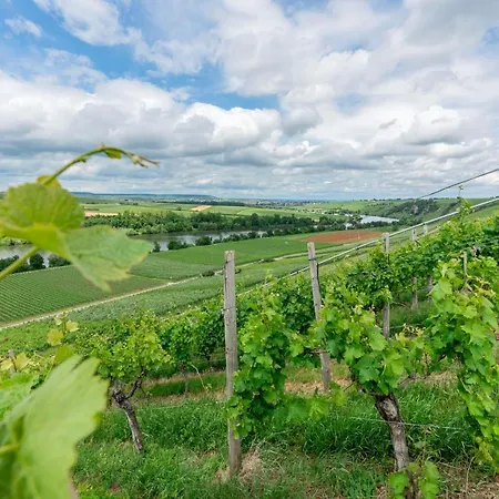 Modernes Loft Auf 2 Etagen, Naehe Tripsdrill & Neckar, Balkon Inklusive, Ideal Fuer Familien Lägenhet